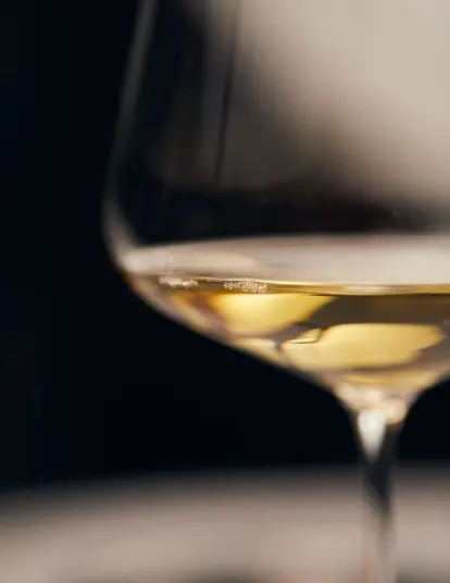 Catas privadas dirigidas por nuestros expertos sumilleres, descubriendo los secretos de las mejores casas de champagne.