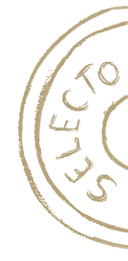 SELECTO LOGO
